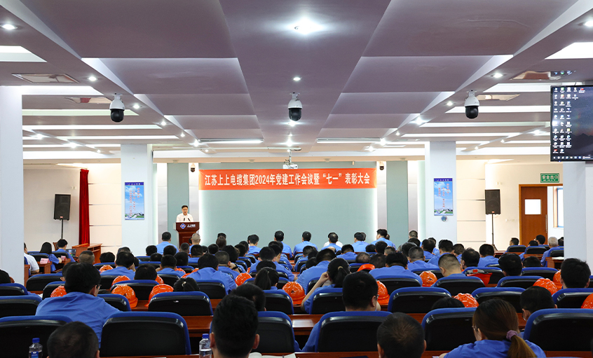 尊龙ag旗舰厅官网电缆召开2024年党建事情聚会暨“七一”表扬大会